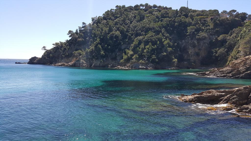 Hotel La Calanque キャバレール・シュル・メール エクステリア 写真